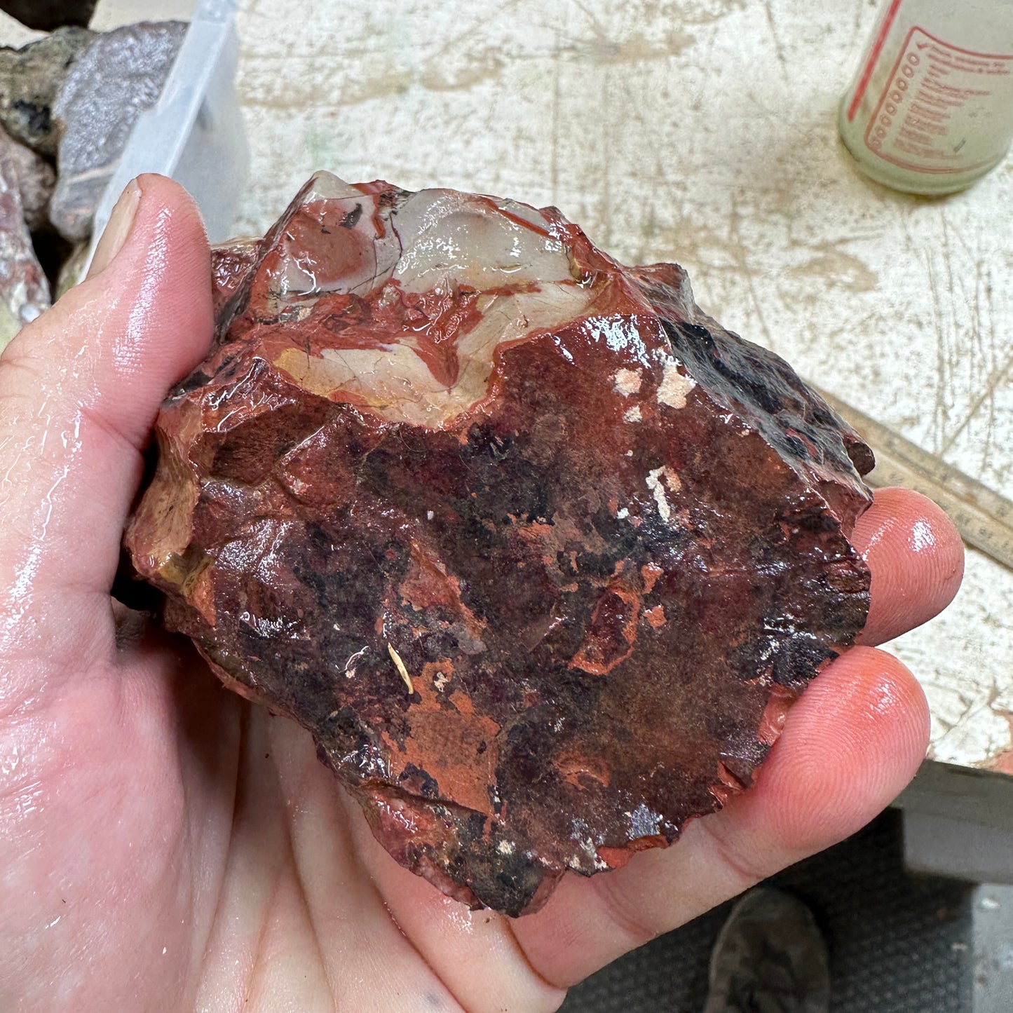 MESCALERO JASPER Faced Rough - 1.60 Pounds