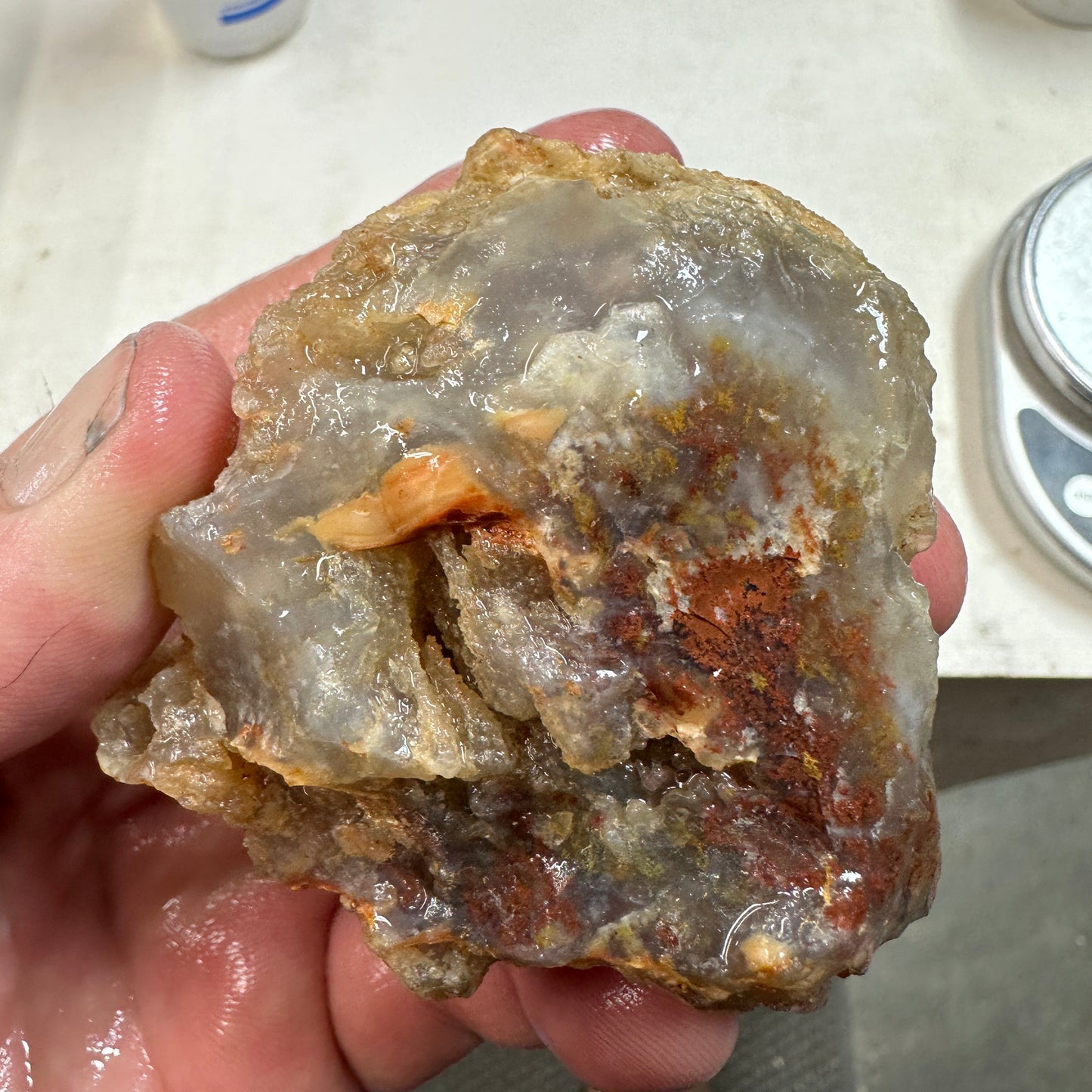 CAREY PLUME AGATE Rough - 0.49 Pounds