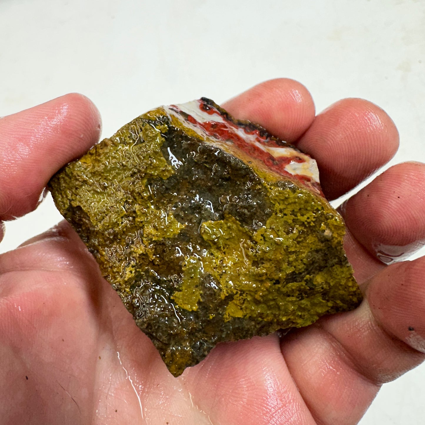 MOROCCAN SEAM AGATE Rough - 0.43 Pounds