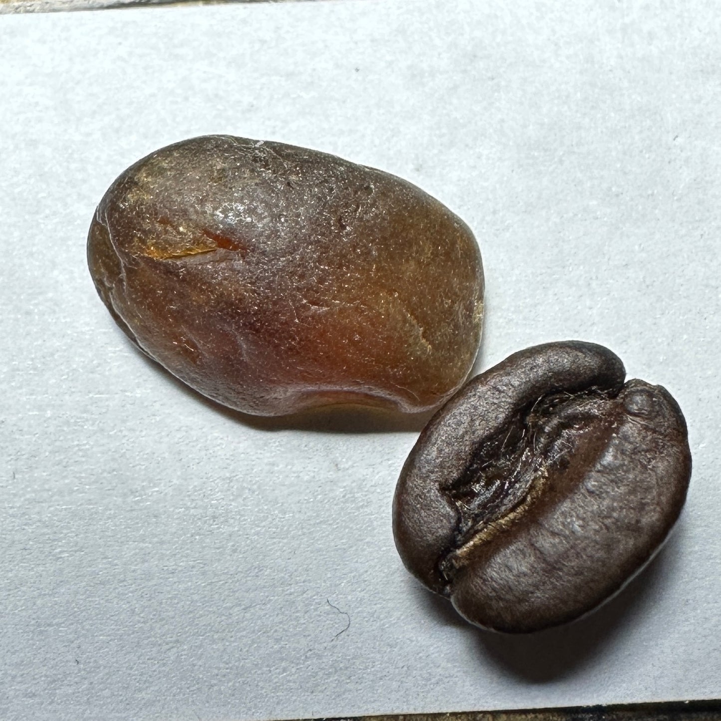 9.65ct Tunduru TOURMALINE Facet Rough