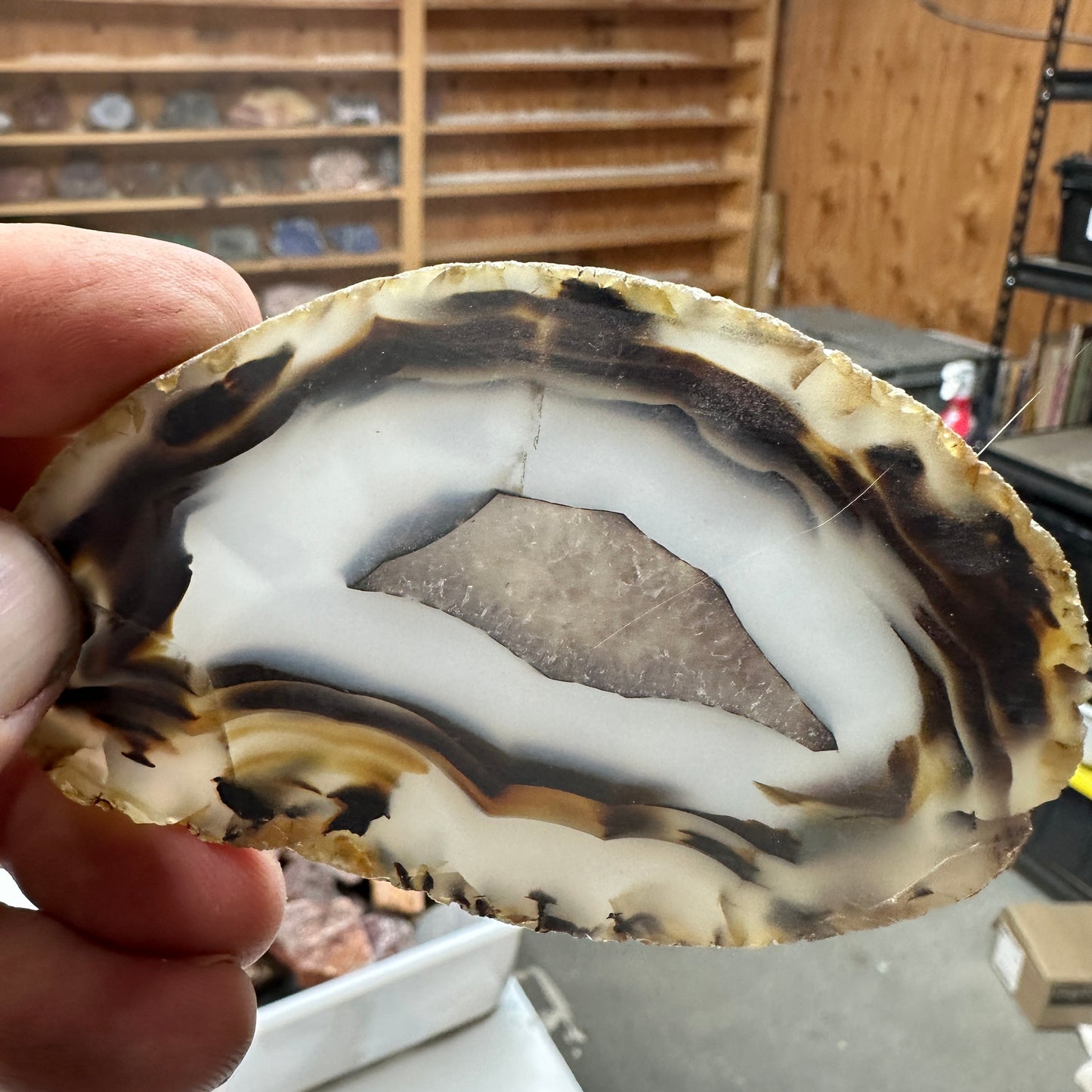 MONTANA AGATE Slab - 62 grams