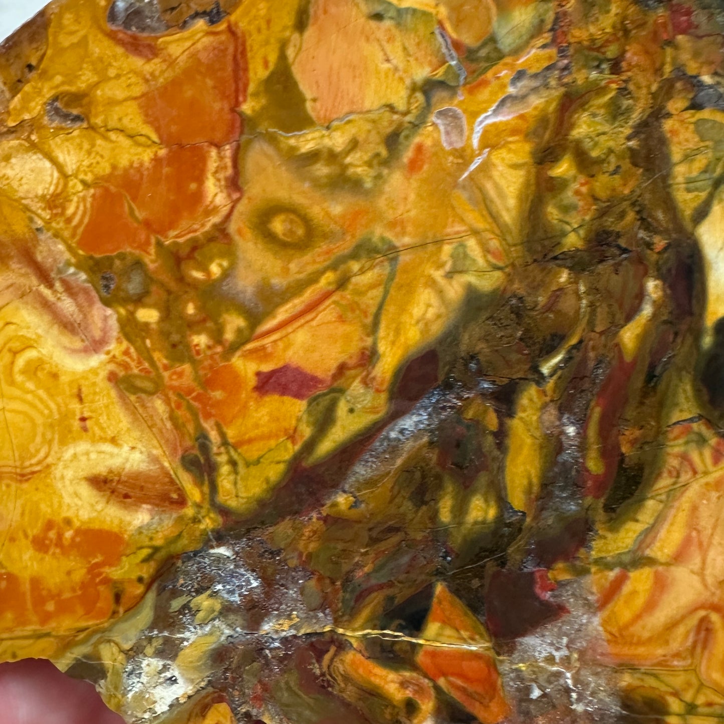 AMAZON VALLEY JASPER Slab - 261 grams