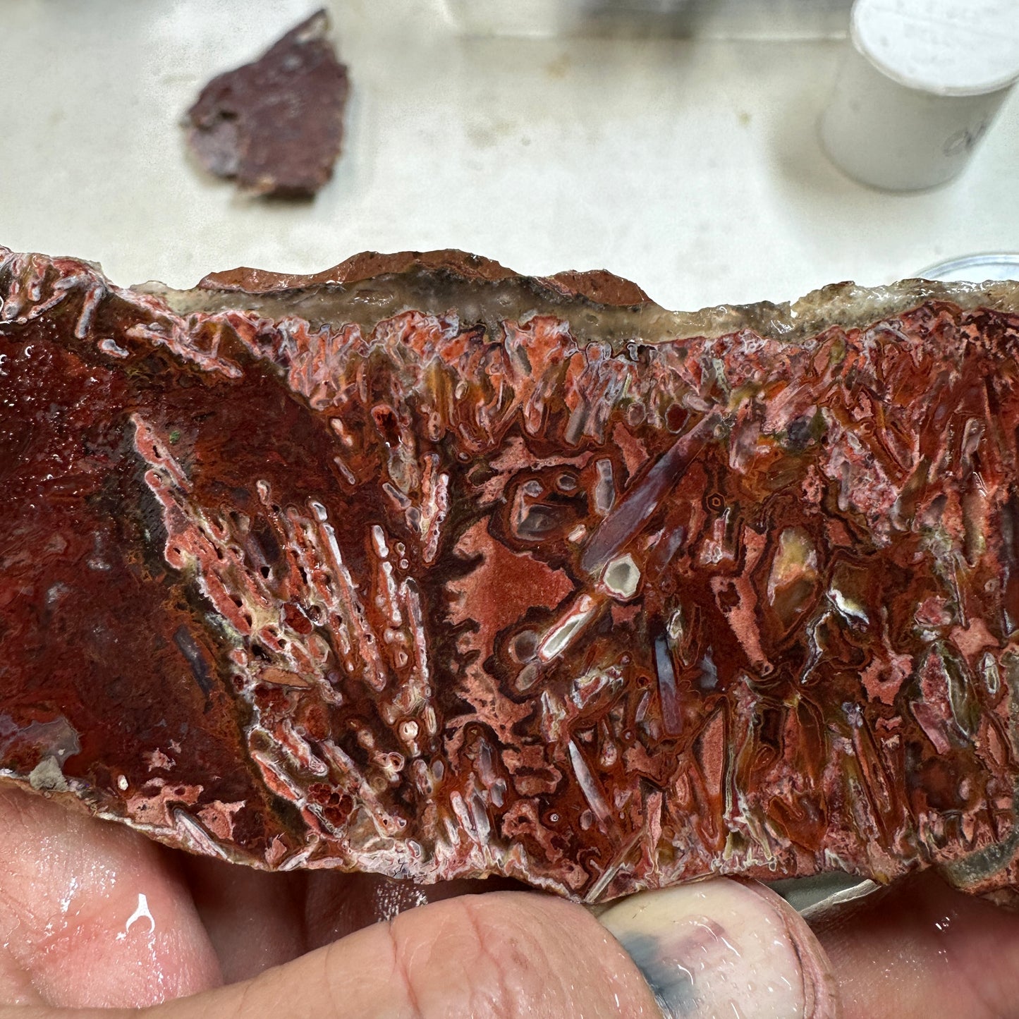 CADY MOUNTAIN AGATE Slab - 130 grams