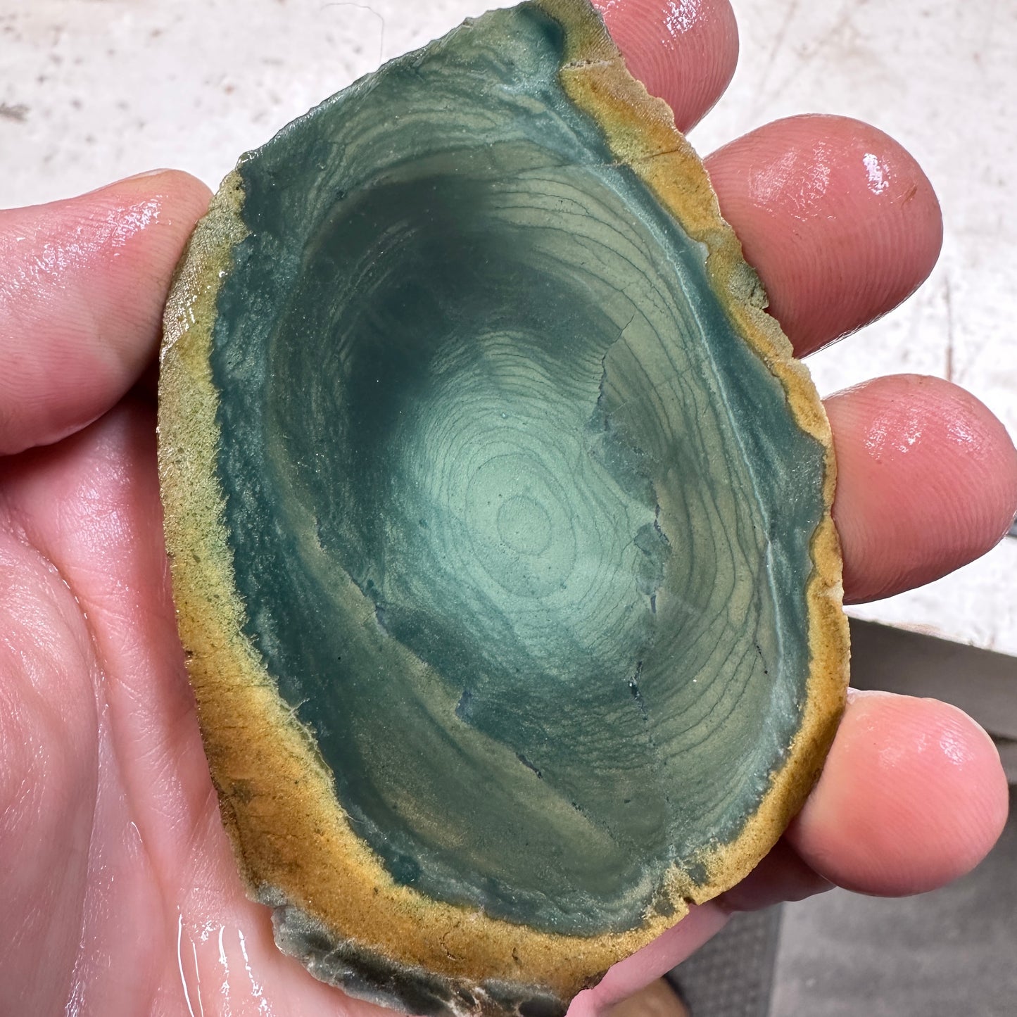 INDONESIAN POLYCHROME JASPER Slab - 79 grams