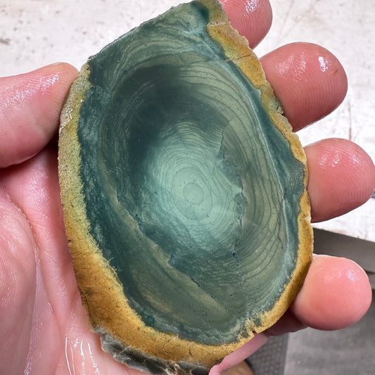 INDONESIAN POLYCHROME JASPER Slab - 79 grams