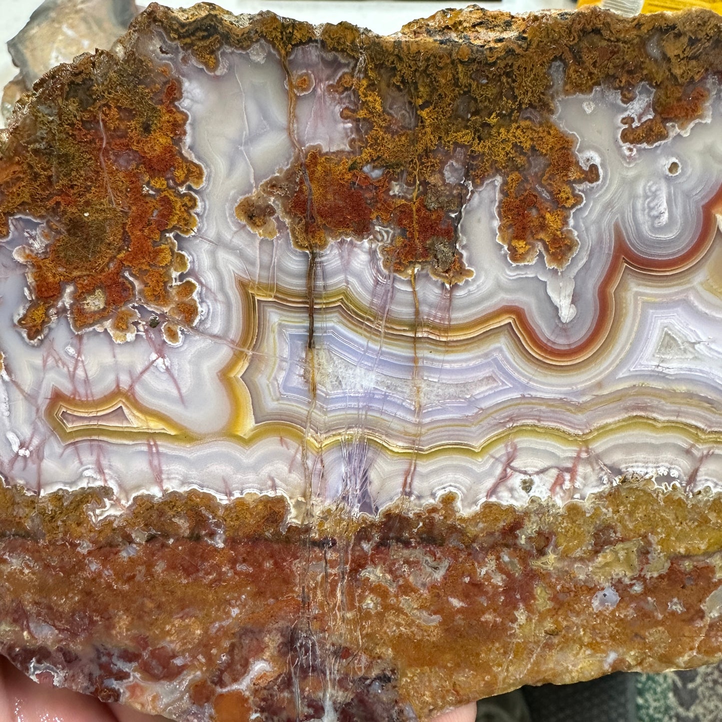 AGUA NUEVA AGATE Slab - 283 grams