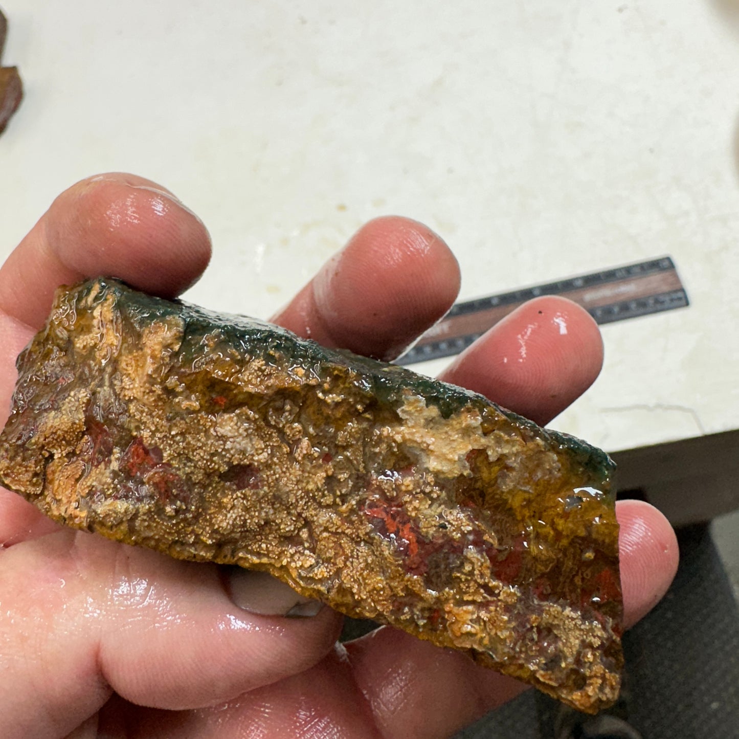 MOROCCAN SEAM AGATE Rough - 10.5ozs