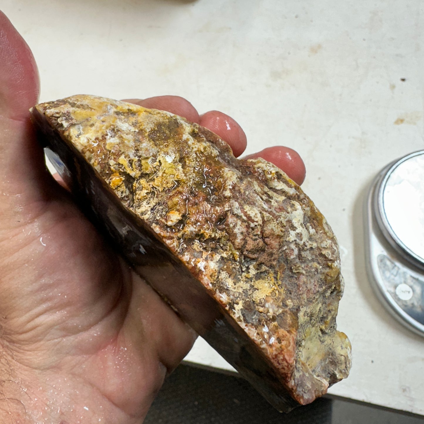 EAST TIMOR AGATE Faced Rough - 1.71 Pounds