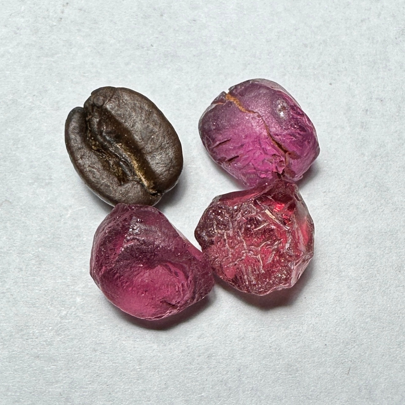 TANGA ROSE GARNET 3pcs., 3.73g Facet Rough Parcel