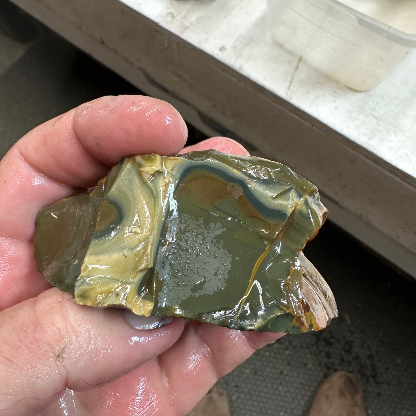 HART MOUNTAIN JASPER Faced Rough - 0.48 Pounds