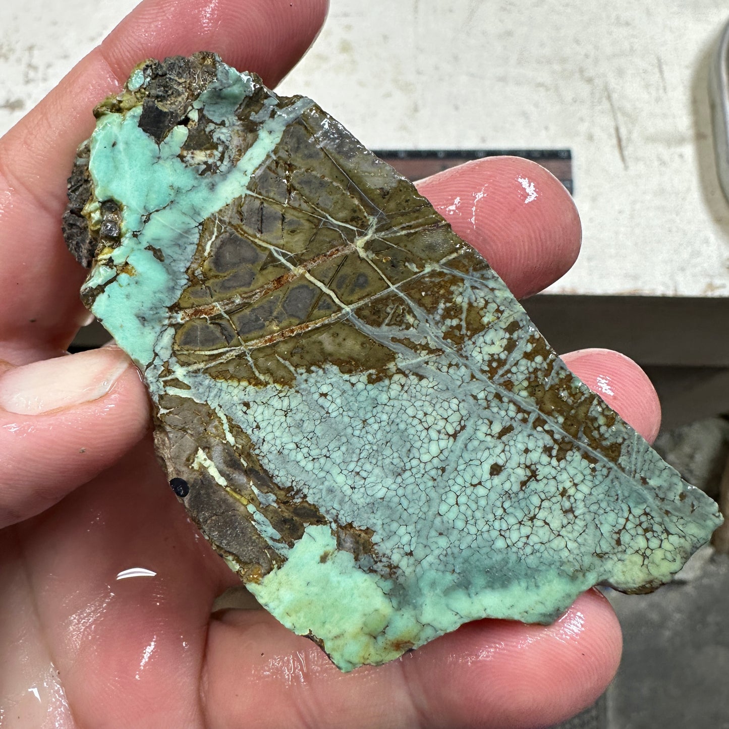 BROKEN ARROW VARISCITE Trimmed Rough Slab - 93 grams