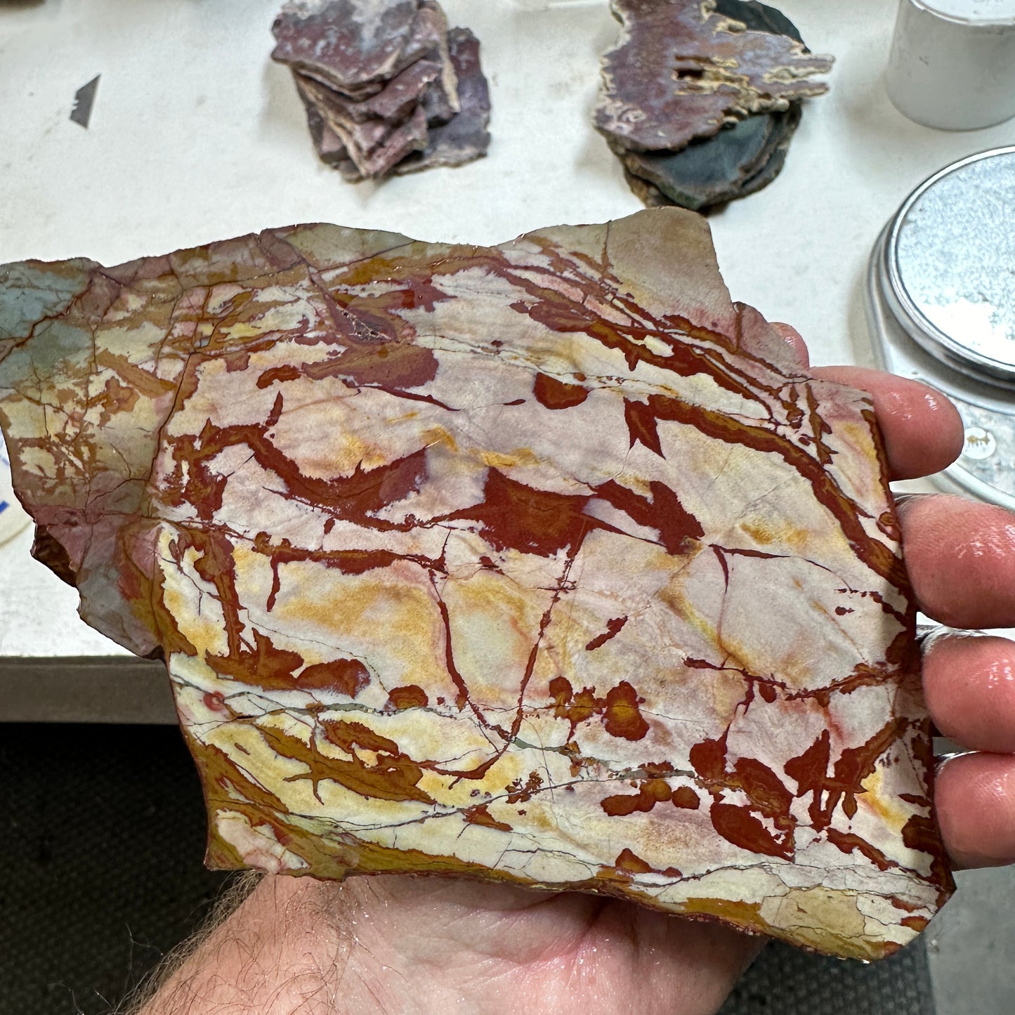 DEAD CAMEL JASPER Slab - 222 grams