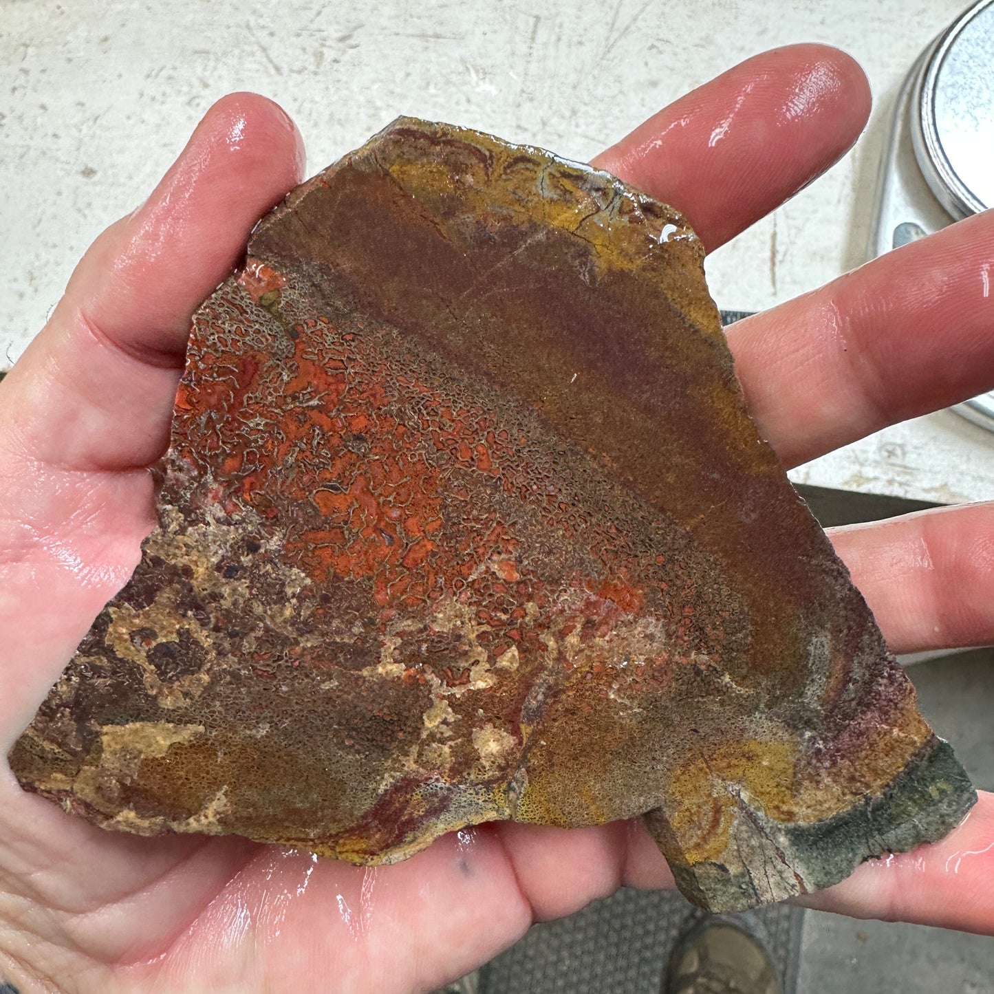 GEMBONE Dinosaur Bone Slab - 142 grams