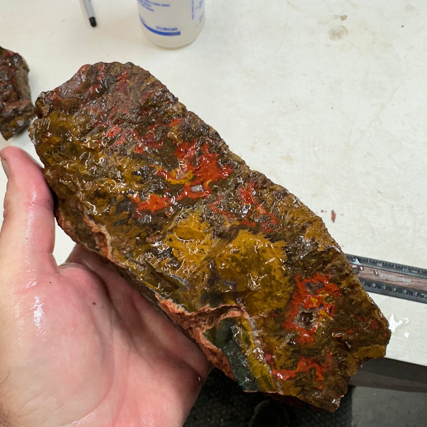 MOROCCAN SEAM AGATE Faced Rough - 3.73 Pounds