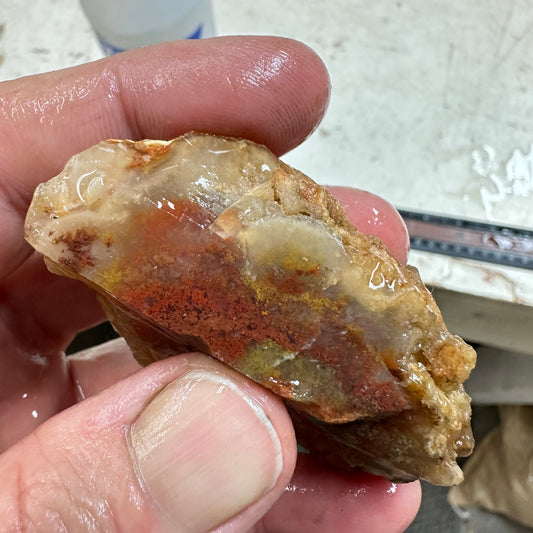 CAREY PLUME AGATE Rough - 2.99oz