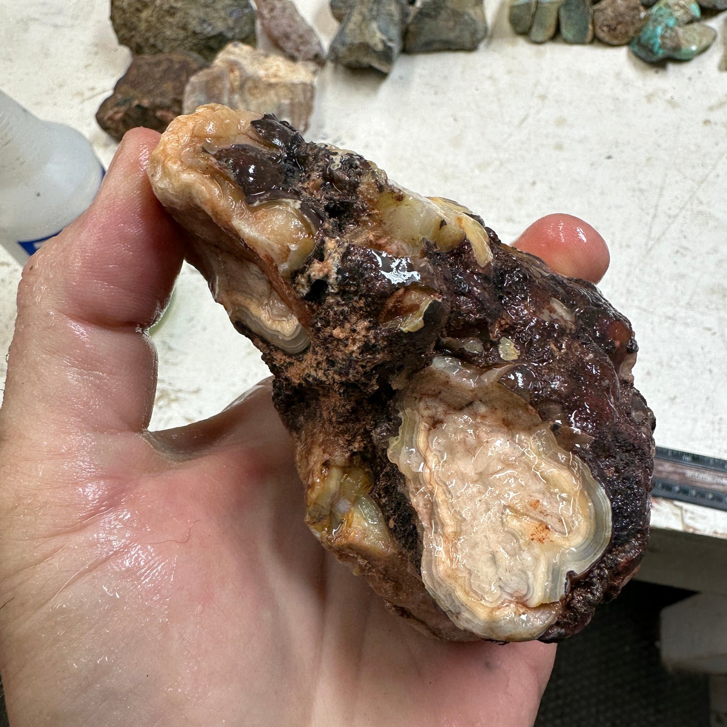 CRAZY LACE AGATE Rough - 1.56 pounds