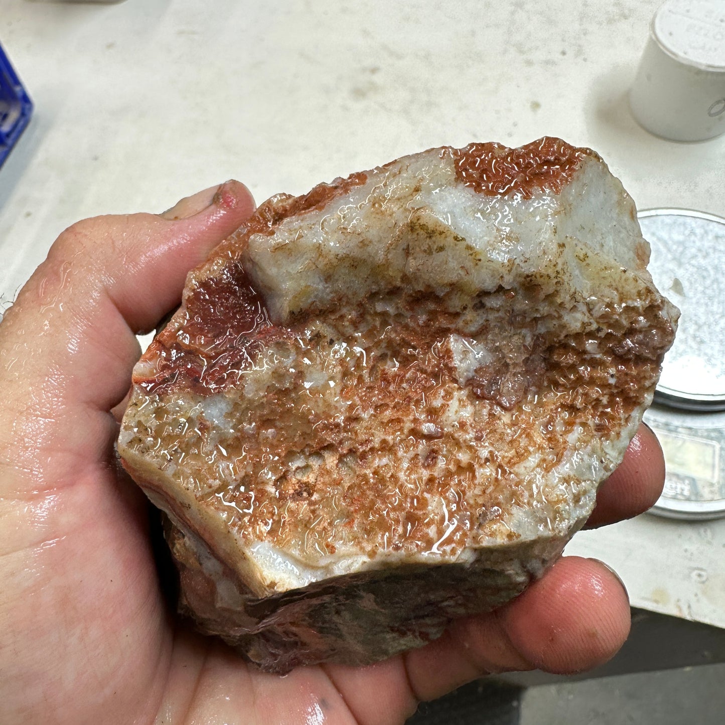 CRAZY LACE AGATE Rough - 1.17 Pounds