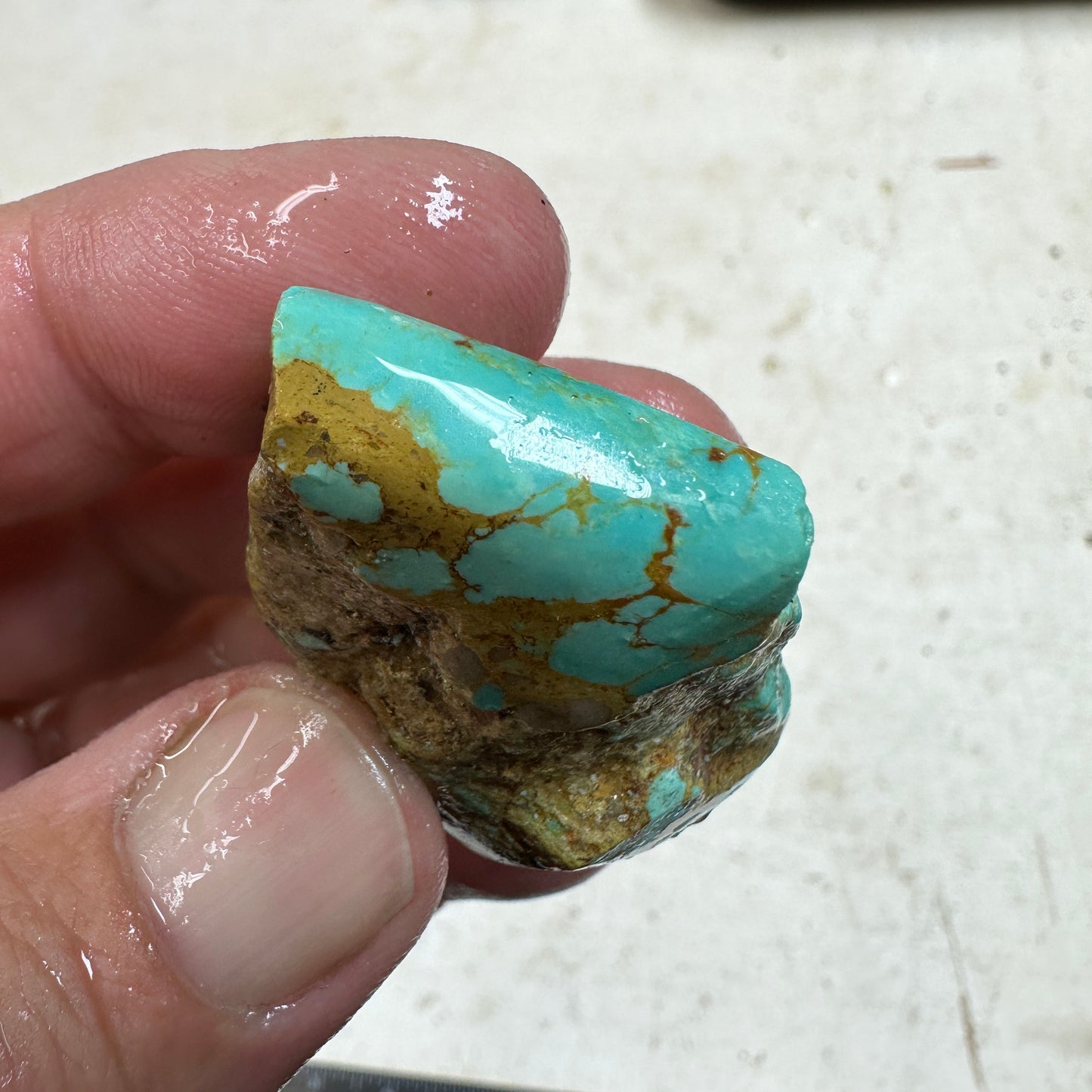 RISING PHOENIX Turquoise rough - 41.8 grams