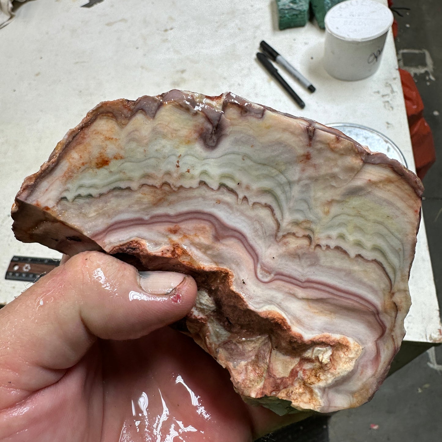 WINDY MOUNTAIN AGATE Rough - 1.69 Pounds