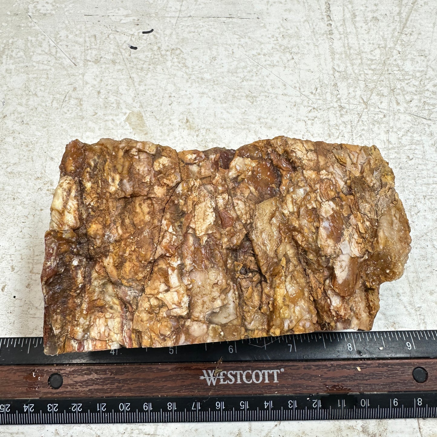 Sunset HOWARDITE Faced Rough - 22.3ozs