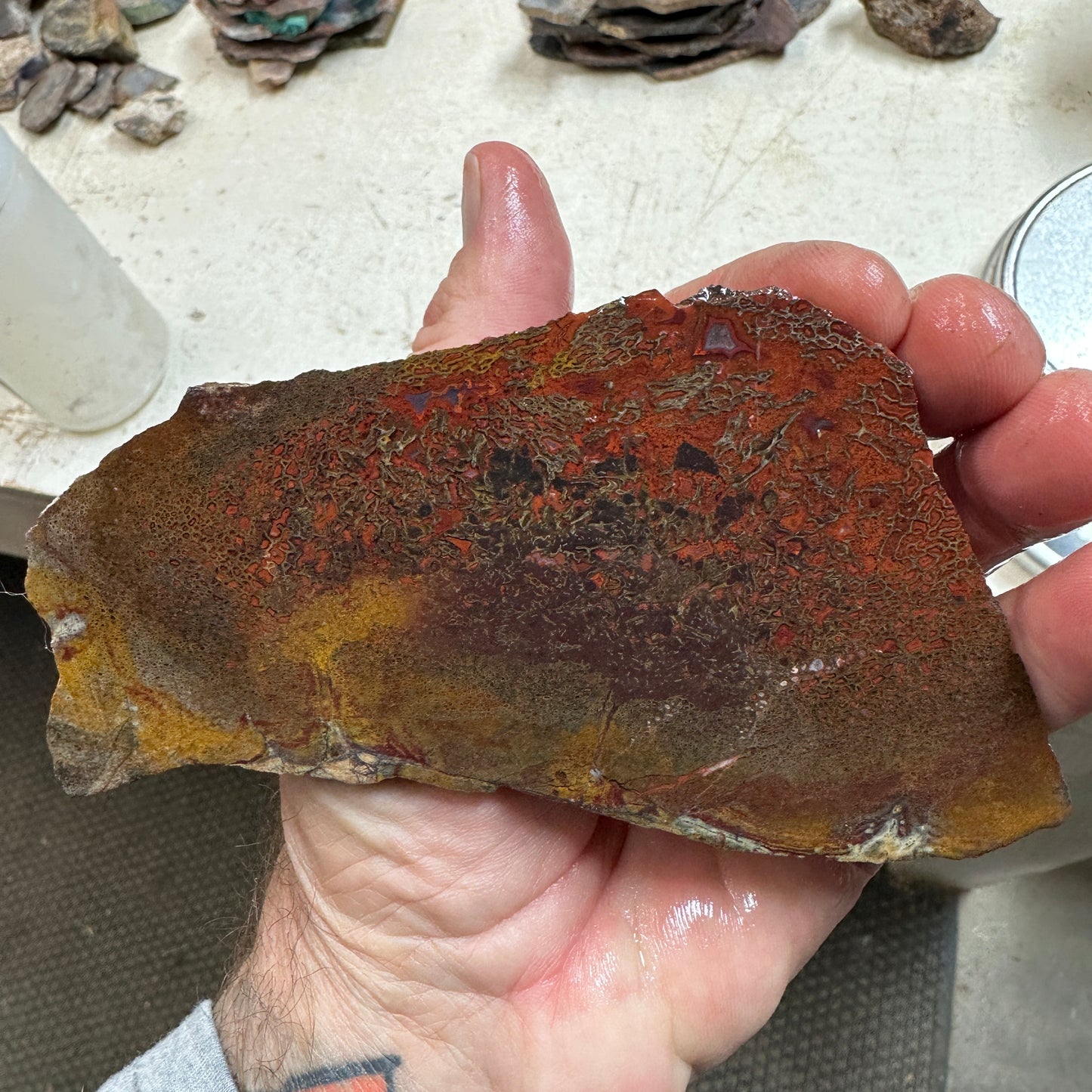 GEMBONE Dinosaur Bone Slab - 133 grams