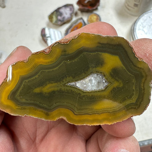 CONDOR AGATE Polished Specimen