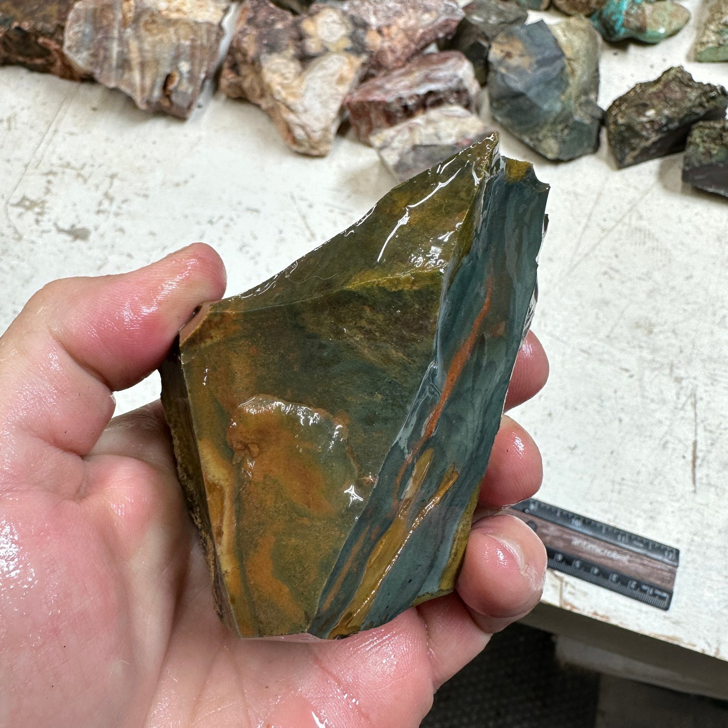 Orbed ECHO RIDGE JASPER Rough - 1.17 Pounds