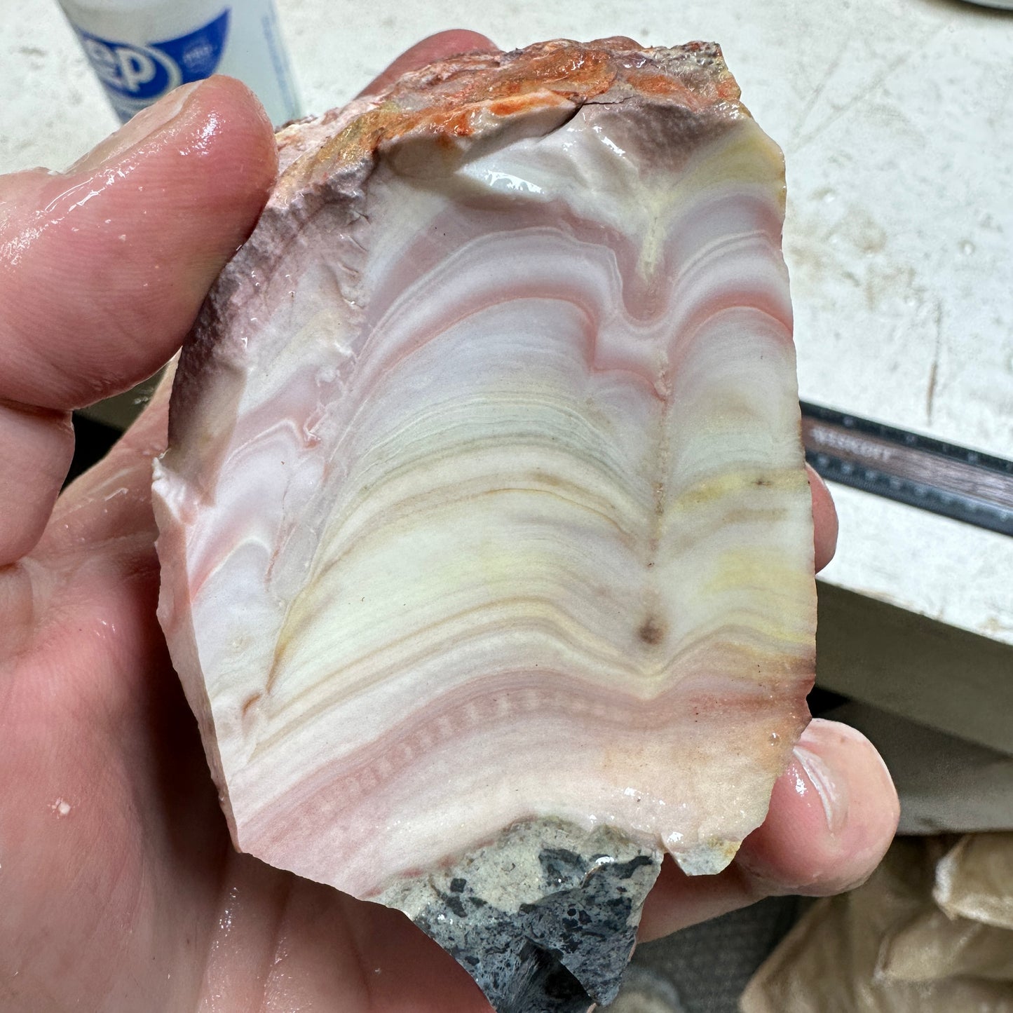 WINDY MOUNTAIN AGATE Rough - 1.42 Pounds
