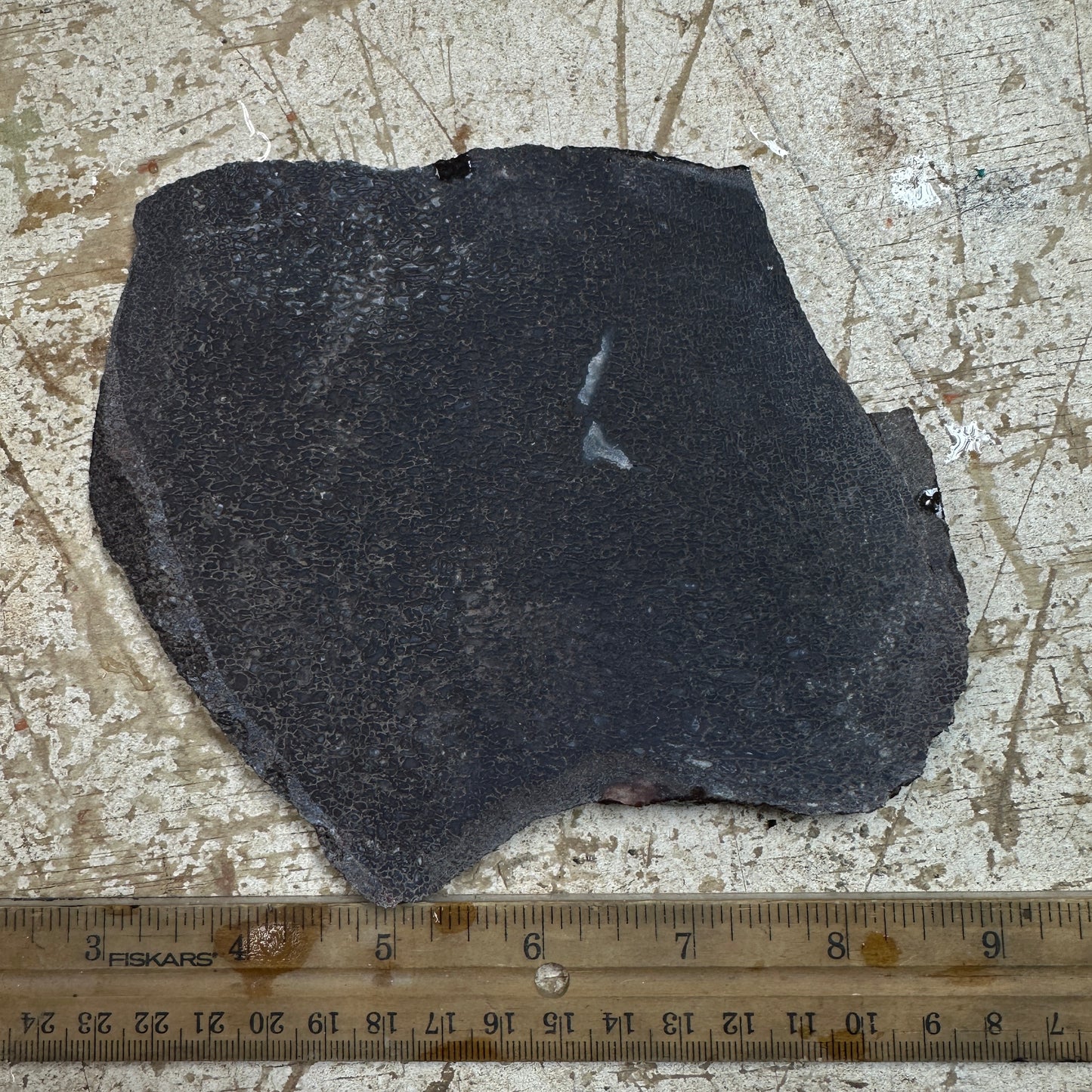 GEMBONE Dinosaur Bone Slab - 288 grams