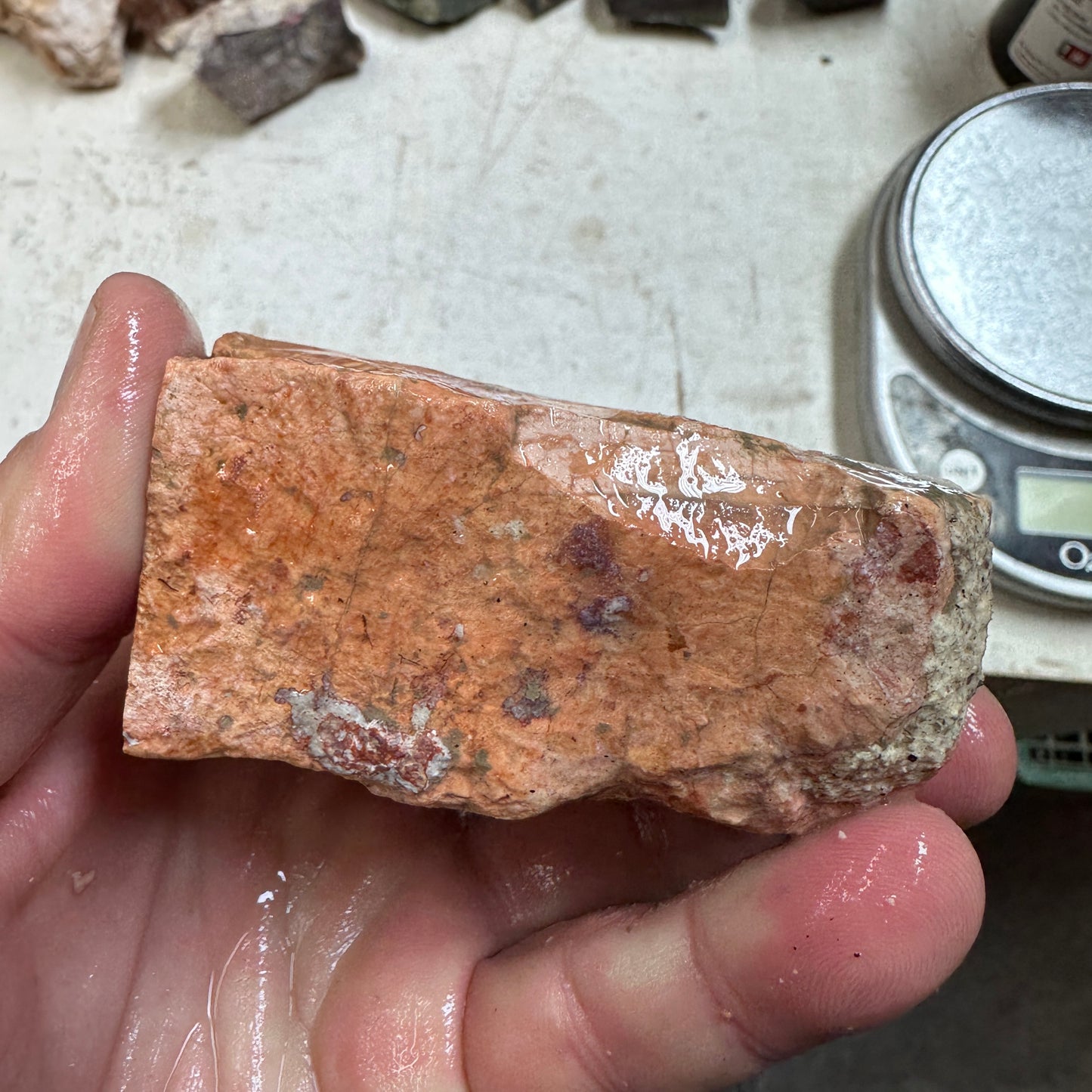 TIFFANY STONE Faced Rough - 0.80 Pounds