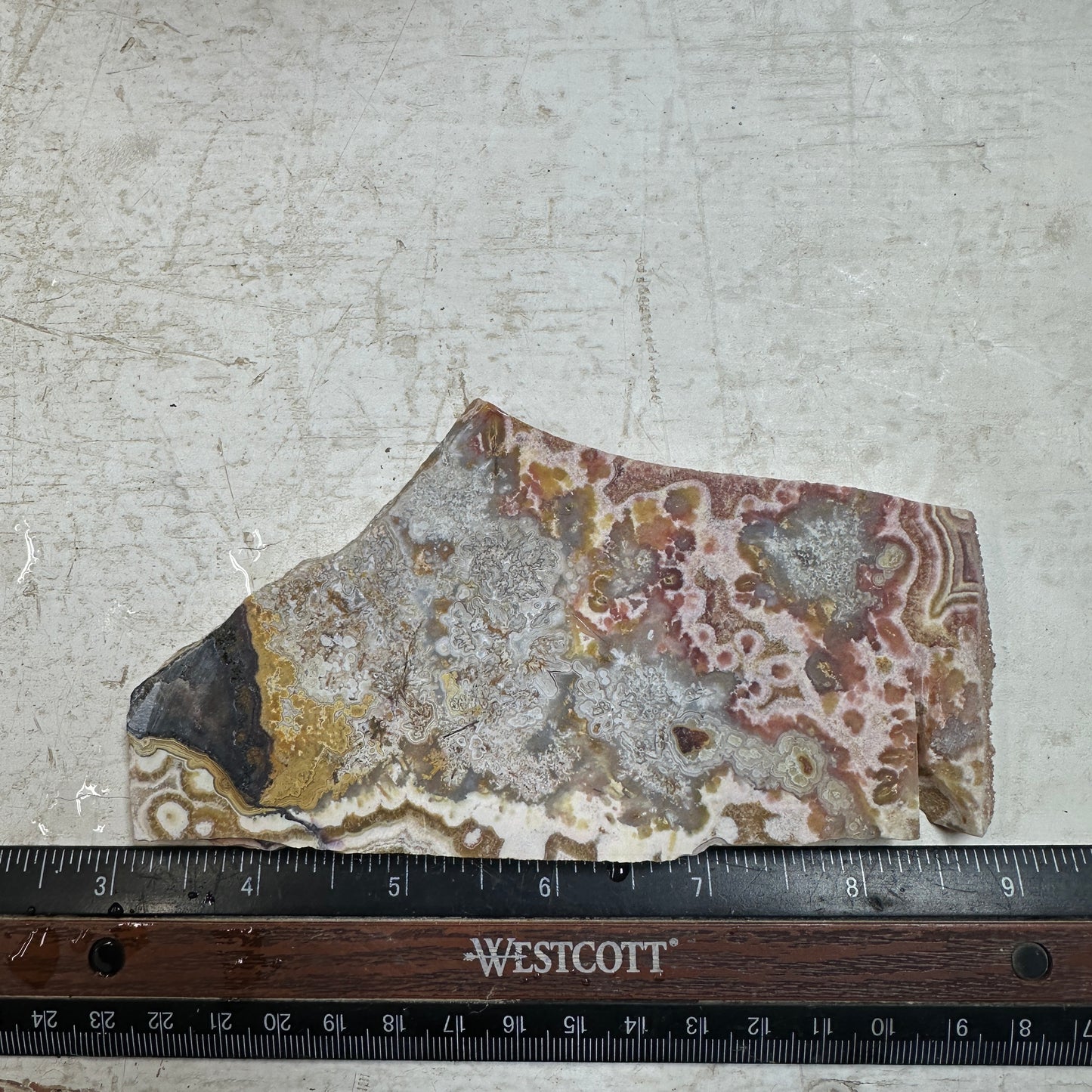CRAZY LACE AGATE Slab - 169 grams