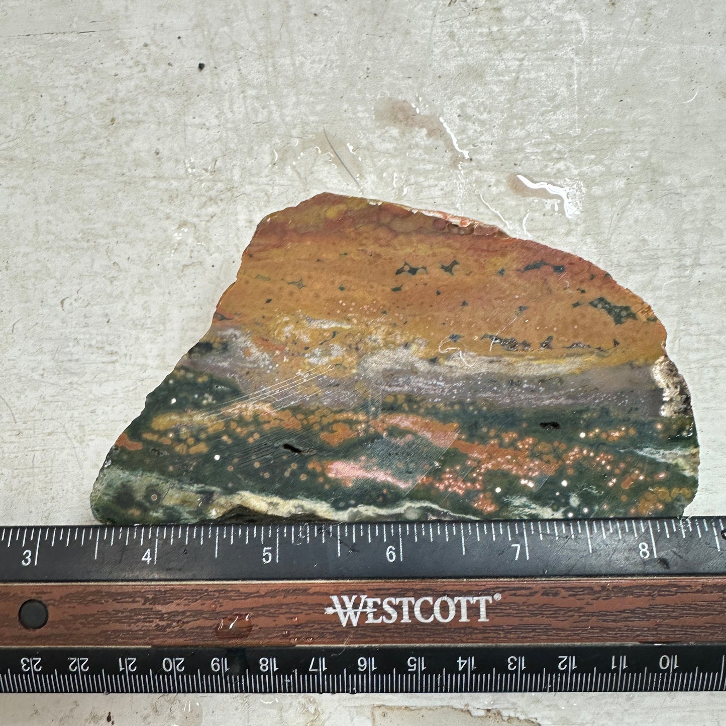 OCEAN JASPER Faced Rough - 1.63 Pounds