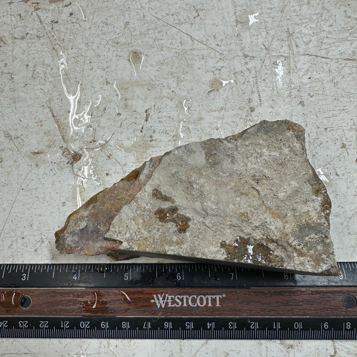 MORRISONITE JASPER Faced Rough - 0.67 Pounds