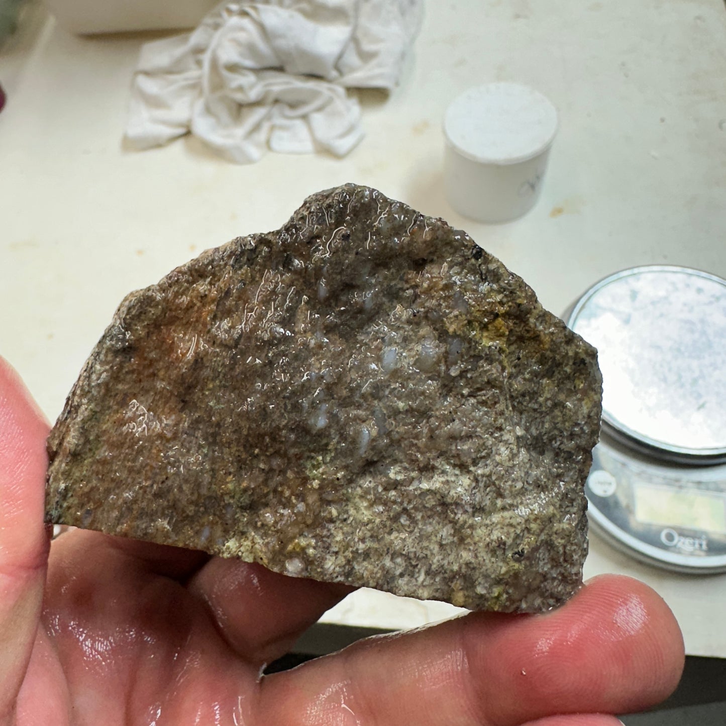 GEMBONE Dinosaur Bone Faced Rough - 0.81 Pounds