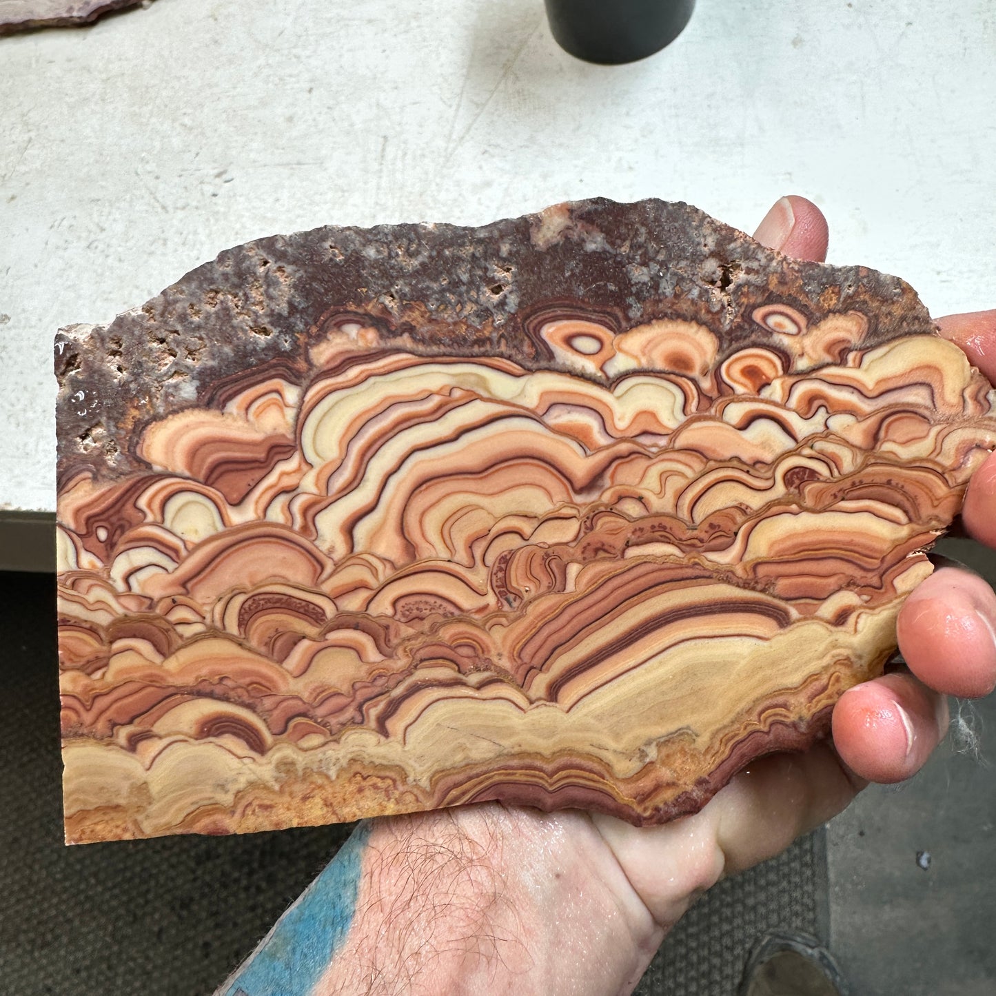 ROLLING HILLS DOLOMITE Slab - 313 grams