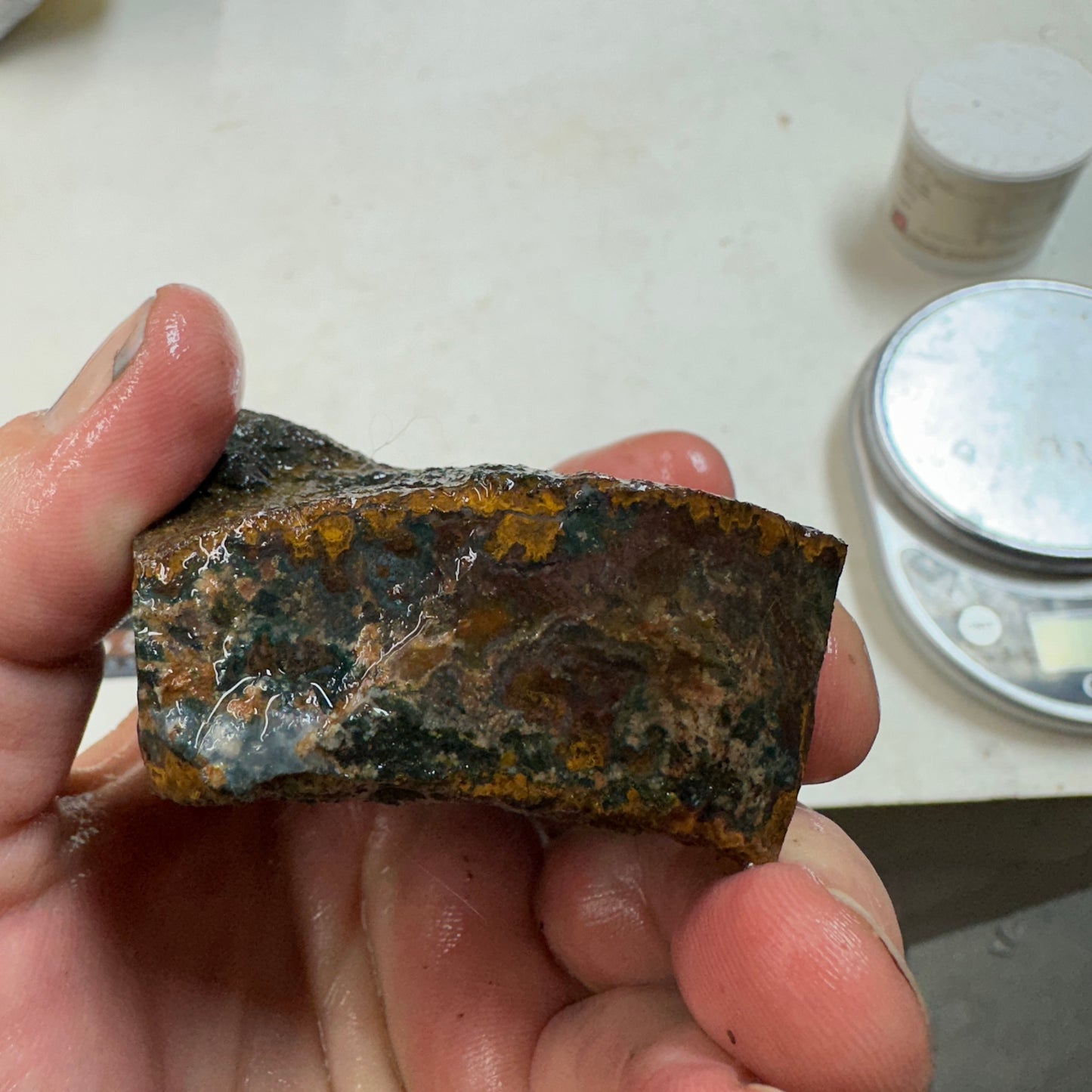 MOROCCAN SEAM AGATE Rough - 10.7ozs