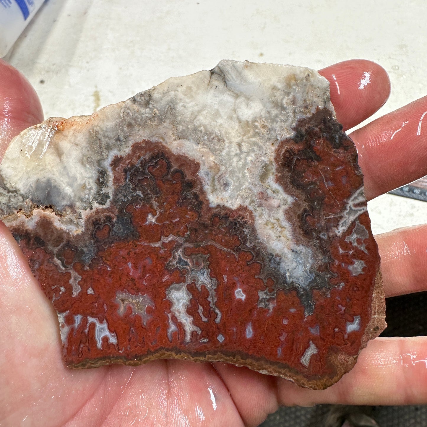 PAUL BUNYAN PLUME AGATE Slab - 122 grams