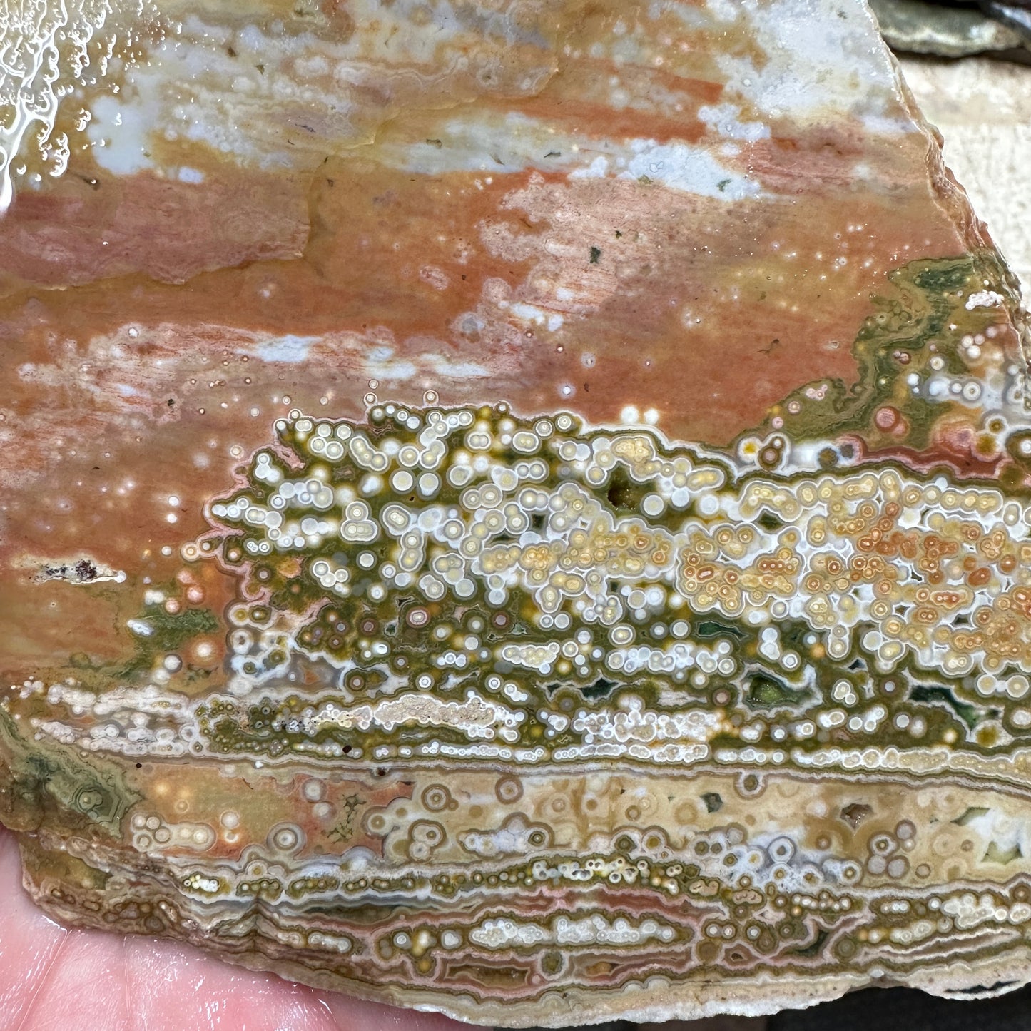 OCEAN JASPER Slab - 234 grams