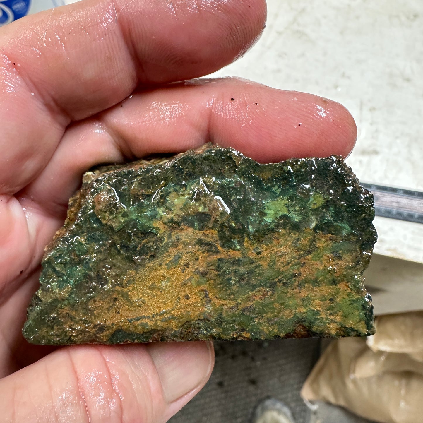 IDAHO WILDFIRE PLUME AGATE Faced Rough - 4.88ozs