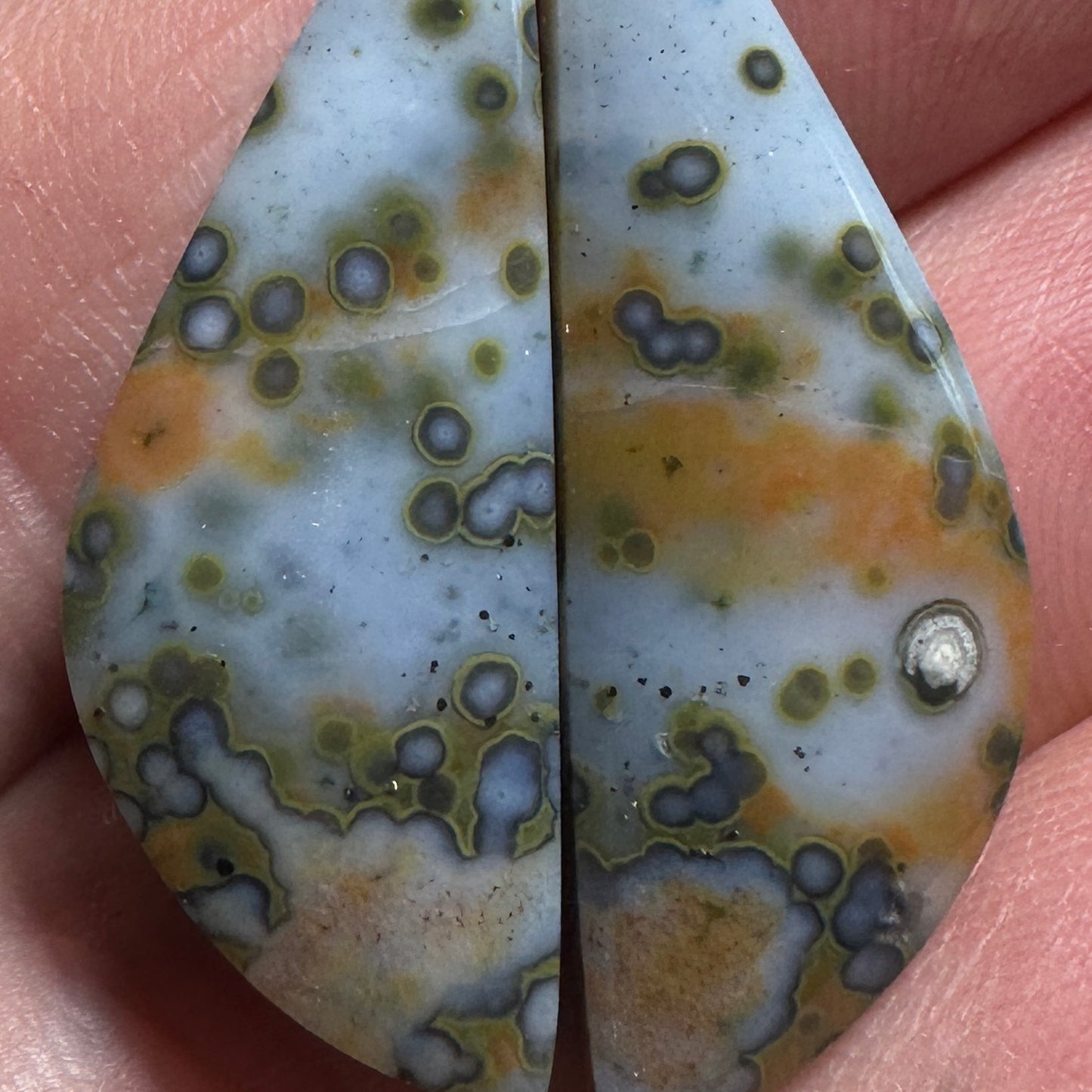 RIVER JASPER cabochon pair