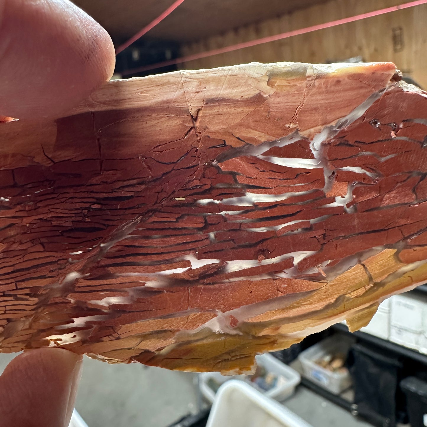 SUNSET HOWARDITE Slab - 58 grams