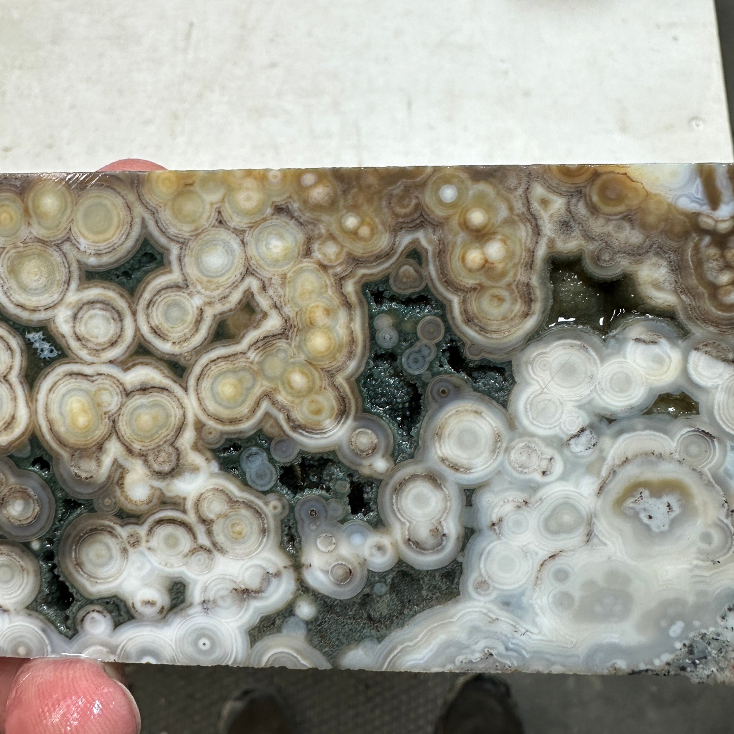 OCEAN JASPER Slab - 206 grams