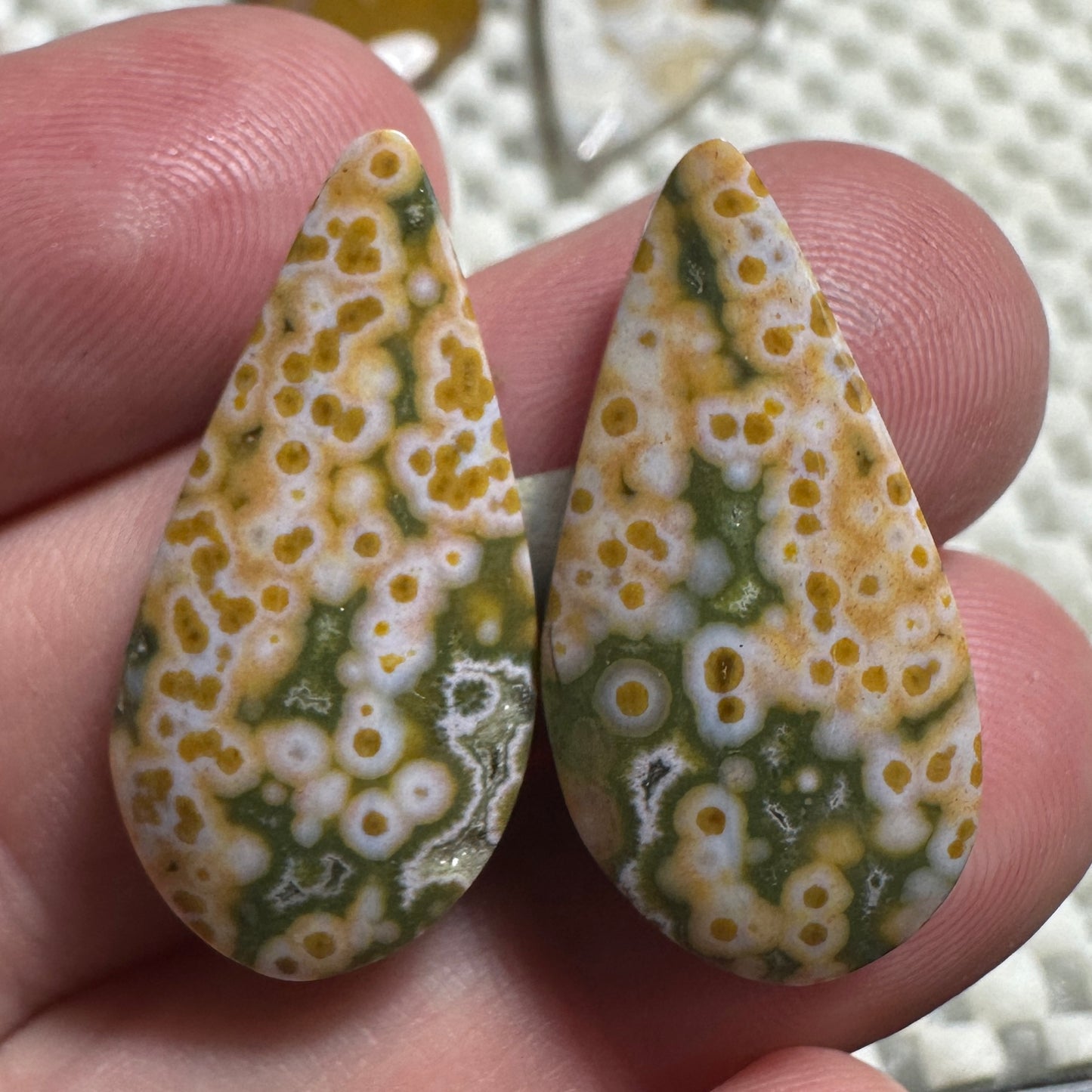 RIVER JASPER cabochon pair