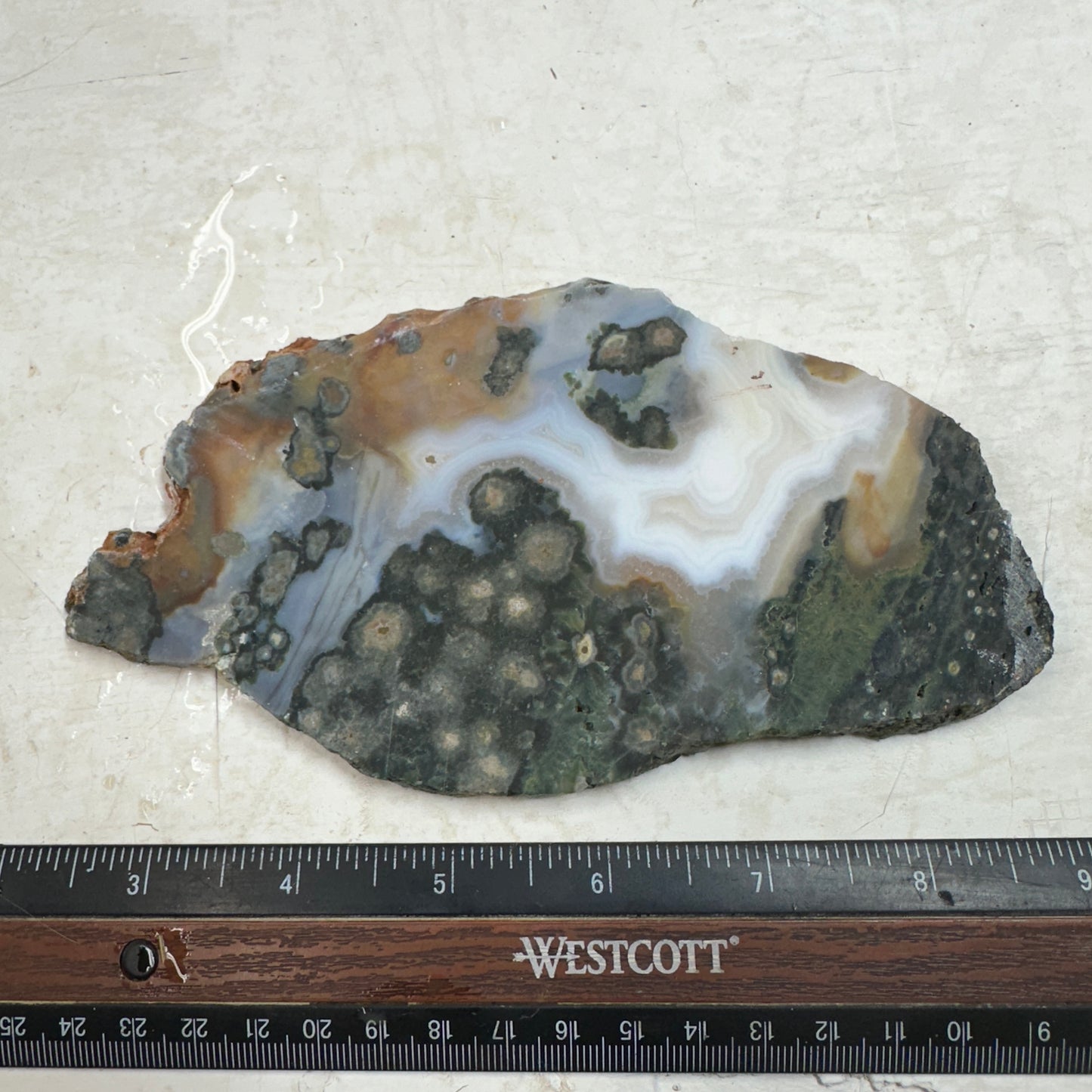 OCEAN JASPER Slab - 174 grams