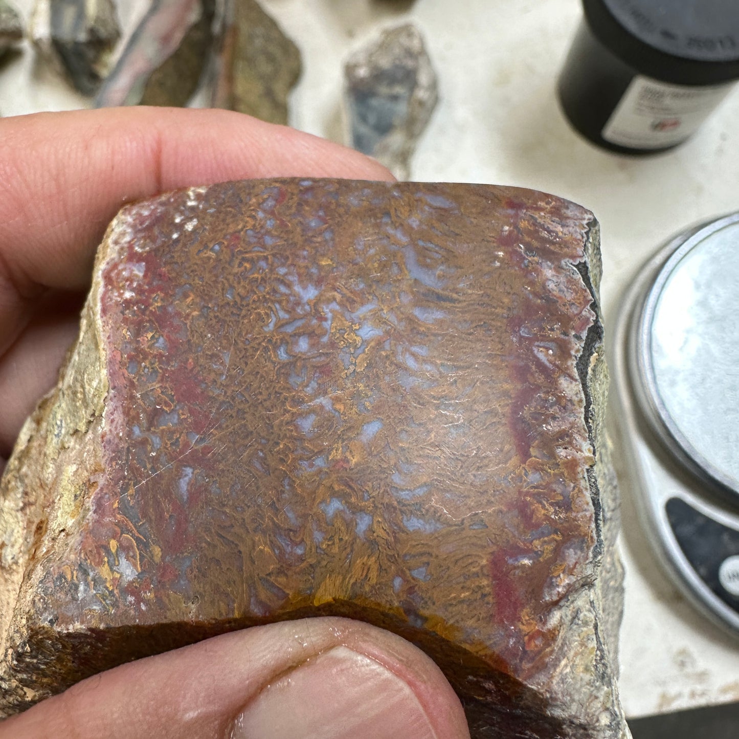 WINGATE PASS PLUME AGATE Windowed Rough - 0.94 Pounds