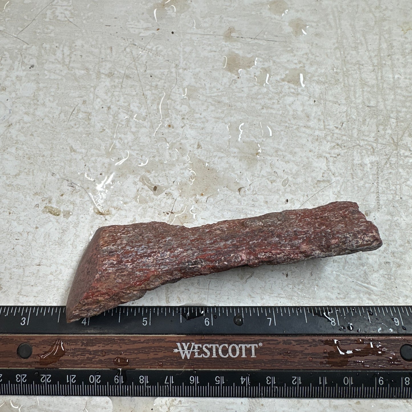 GEMBONE Dinosaur Bone Faced Rough - 0.28 Pounds