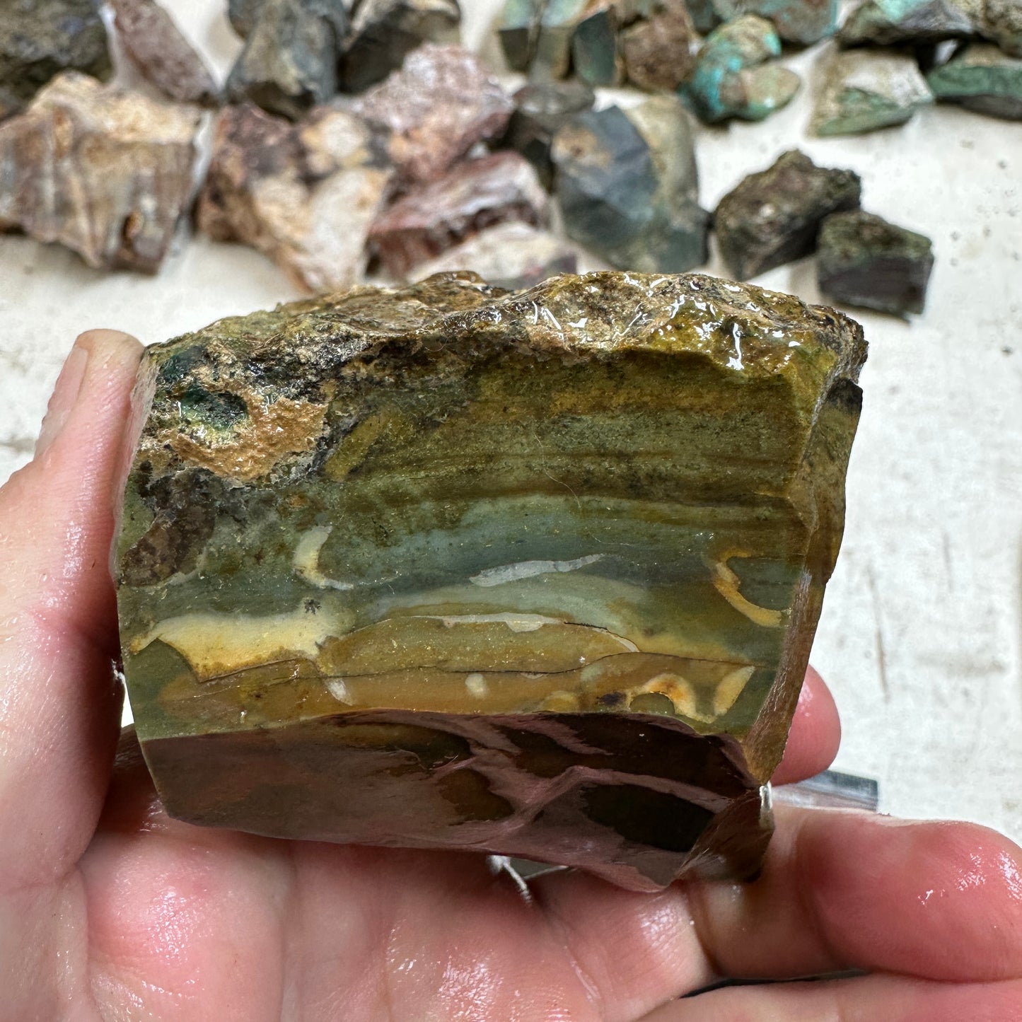 Orbed ECHO RIDGE JASPER Rough - 1.17 Pounds