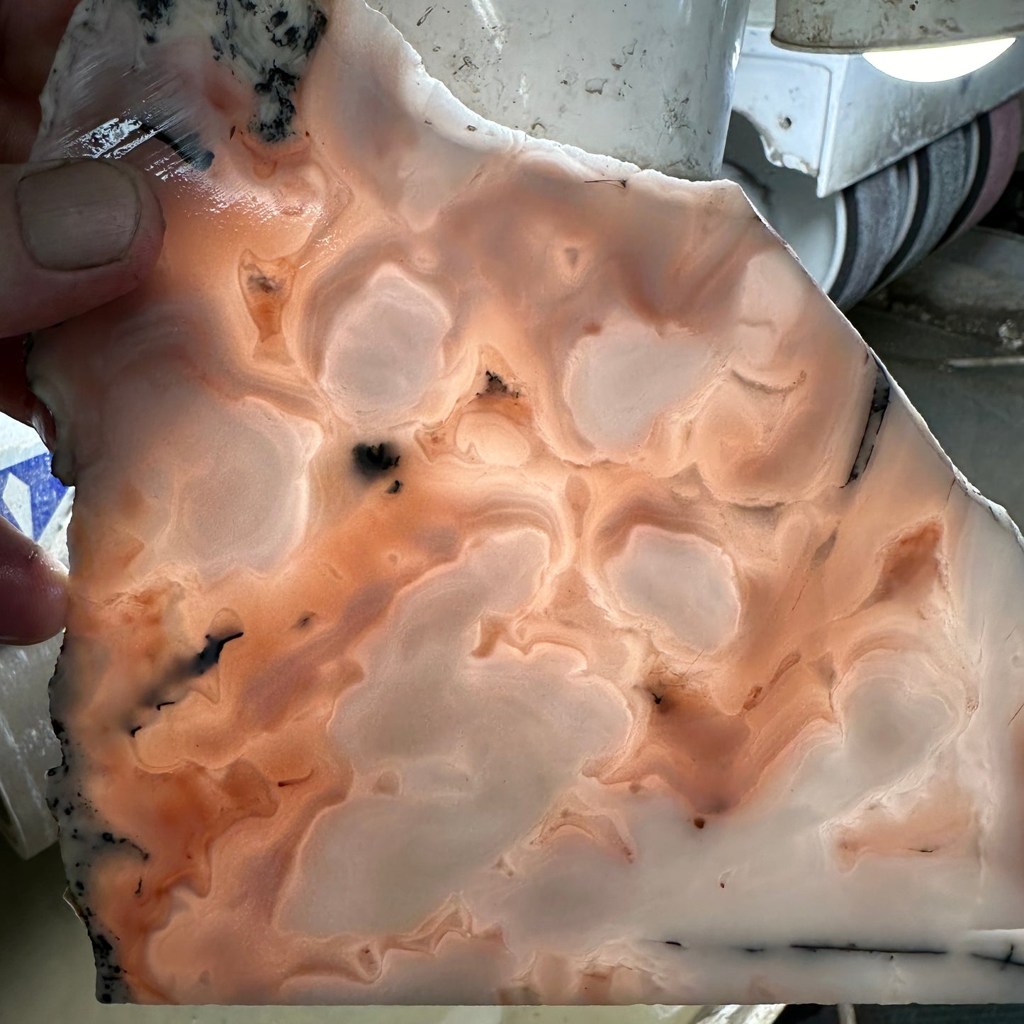 WINDY MOUNTAIN AGATE Slab - 382 grams