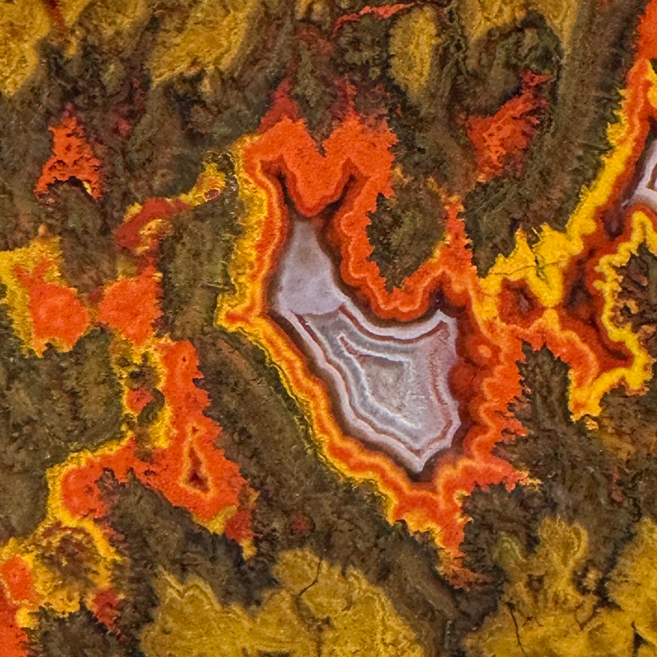 MOROCCAN SEAM AGATE Faced Rough - 3.73 Pounds