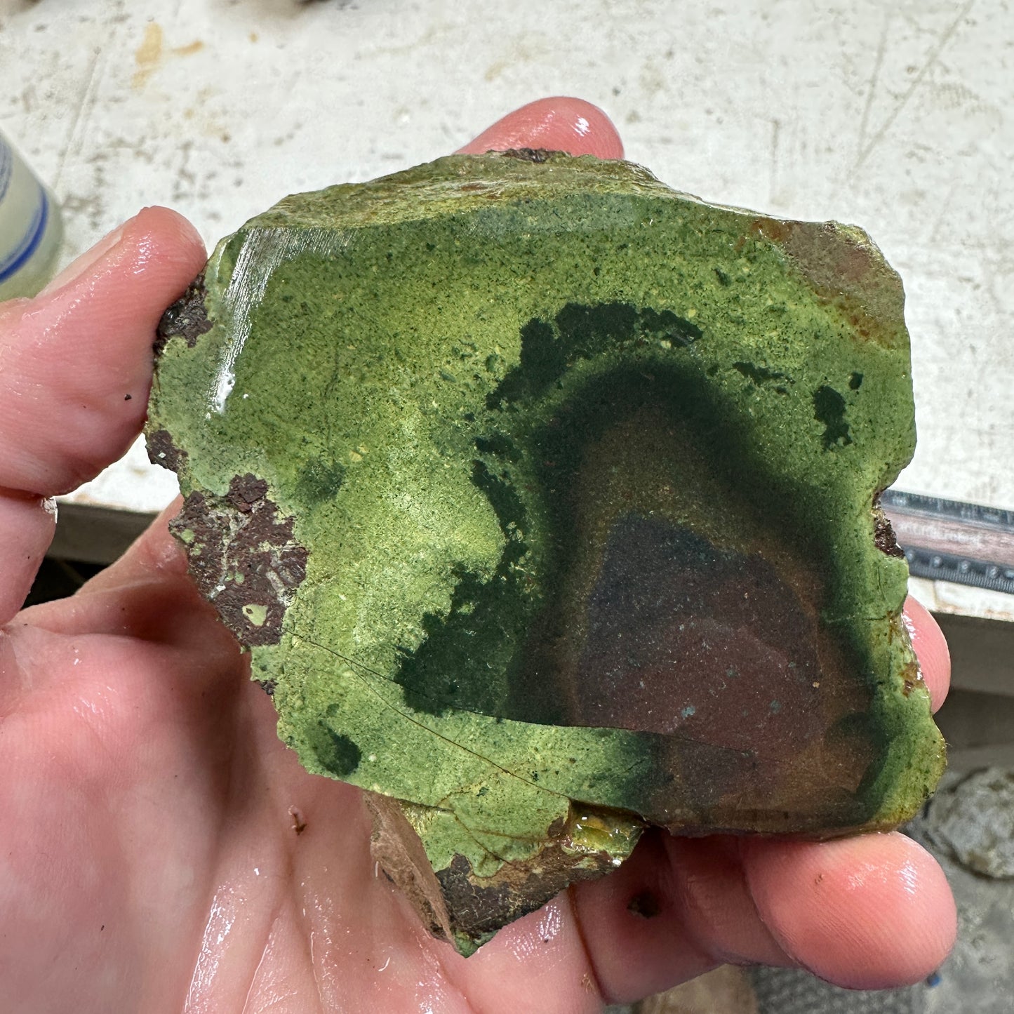 ECHO RIDGE JASPER Rough - 1.09 Pounds